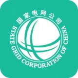 网上国网交电费app苹果版