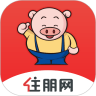 住朋网APP