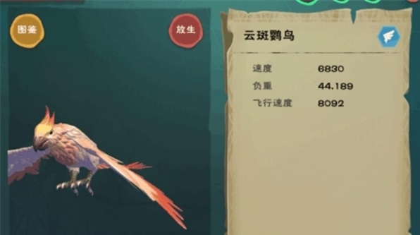 创造与魔法