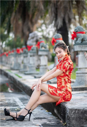 樱花草视频在线高清版