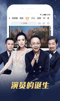 软件