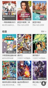 软件