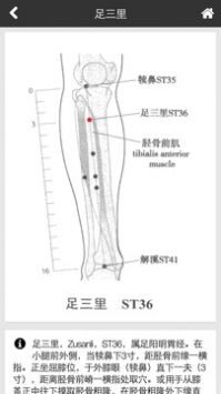 软件
