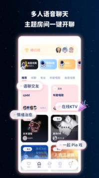 软件