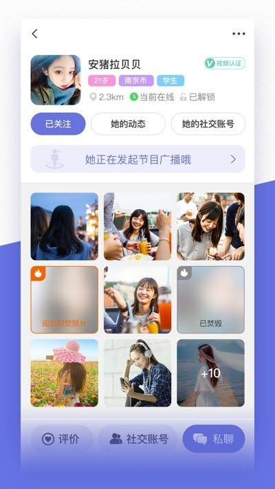 猫咪视频安卓手机版下载