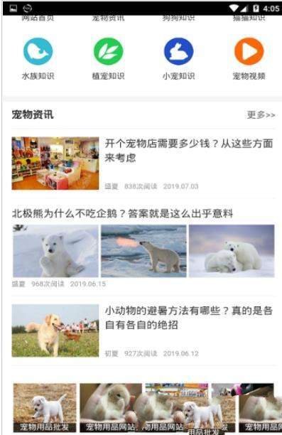 我的宠舍