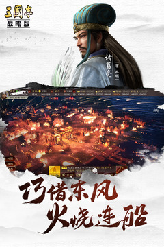 三国志3d版