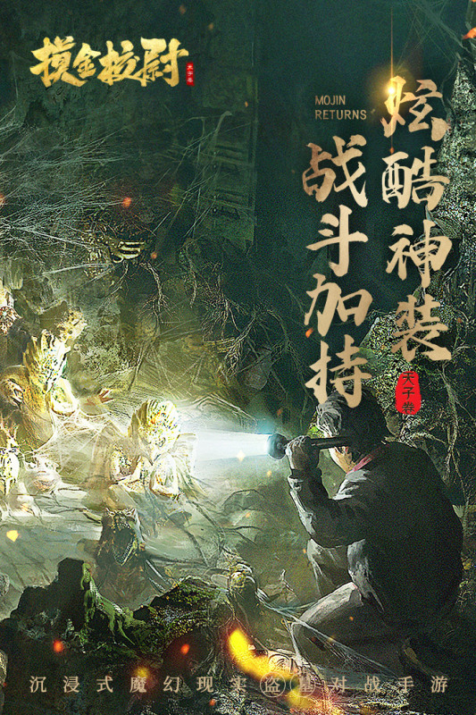 软件