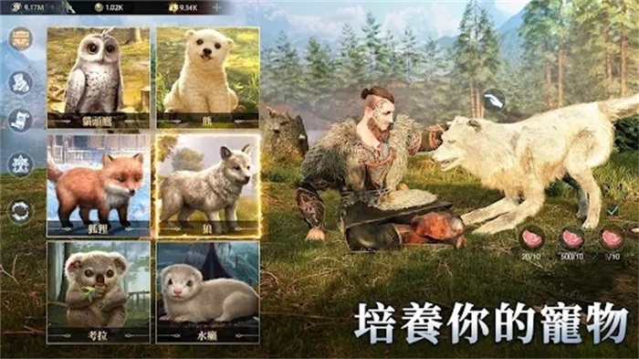 维京之王国际版