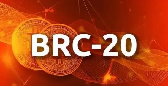BRC20龙头币