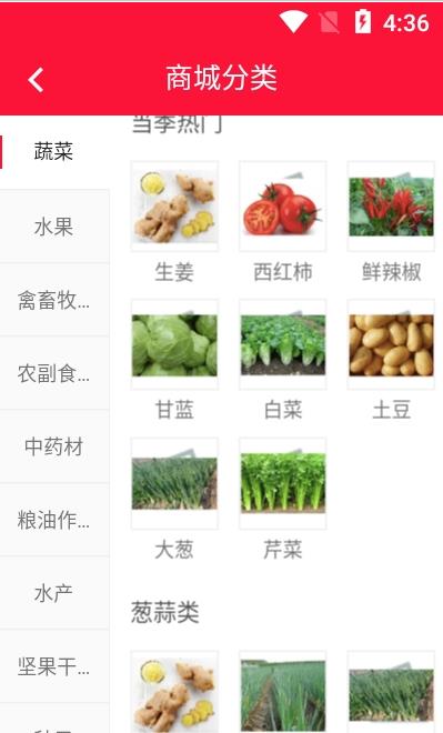 美山村最新版