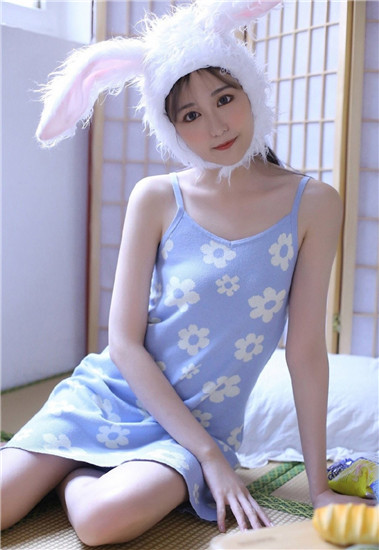 芭乐站长统计苹果版