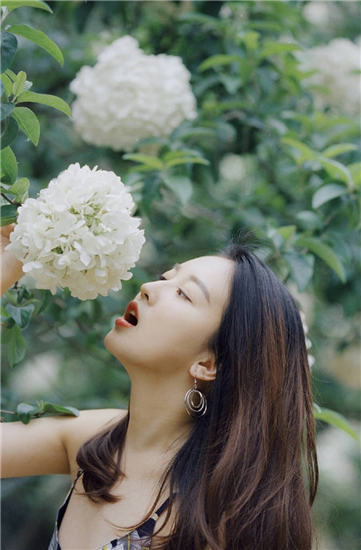 香蕉草莓丝瓜茄子番茄绿巨人苹果版