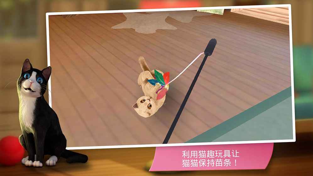 猫咪宾馆苹果版