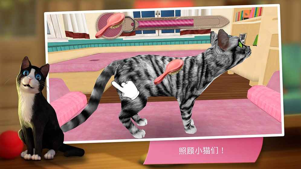 猫咪宾馆苹果版