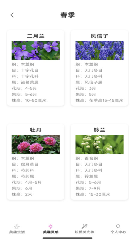 美趣特效最新版