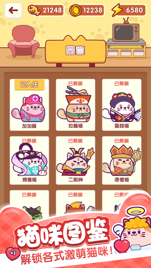 加加猫