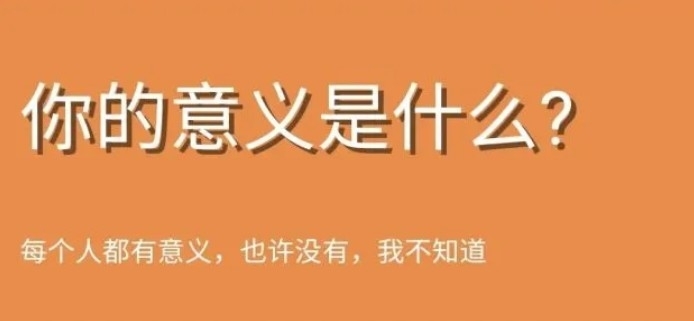你的意义是什么测试