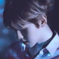 我才不是狐狸精破解版