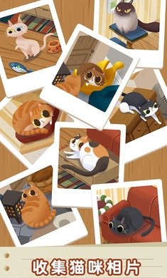 猫咪慵懒的日常破解版