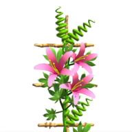 花架大师游戏