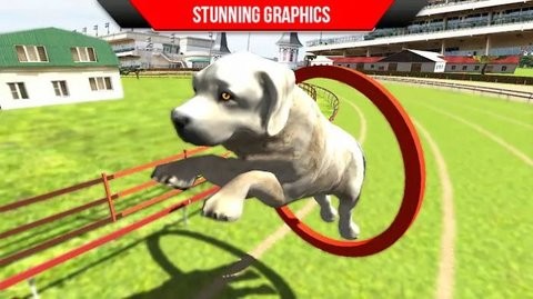 狗狗训练3D游戏